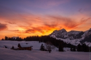 1_BaudTh_090317_4938_1200px
