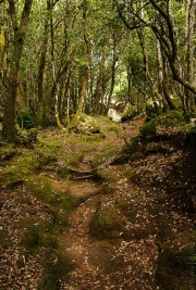 BaudTh_080609_9844.jpg