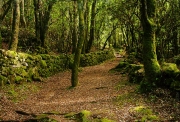 BaudTh_080609_9857.jpg