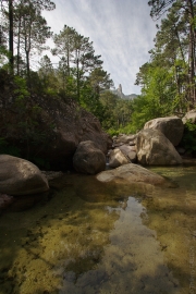 BaudTh_090606_6611.jpg