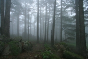 BaudTh_090608_9960.jpg