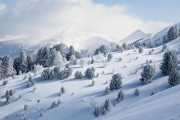 BaudTh_100305_1526.jpg