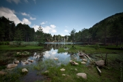 BaudTh_100705_4586.jpg