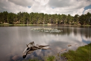 BaudTh_100705_4602.jpg