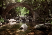 BaudTh_100708_4941.jpg
