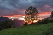 BaudTh_210828_0520.jpg