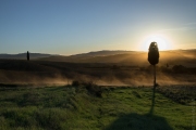 BaudTh_221030_4084.jpg