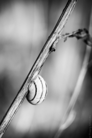 BaudTh_120711_9155_1200px