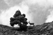 BaudTh_130901_2692.jpg