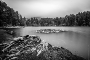 BaudTh_140708_5215_1200px