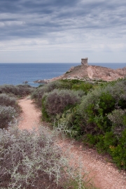 BaudTh_040711_8534.jpg