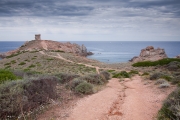 BaudTh_040711_8539.jpg