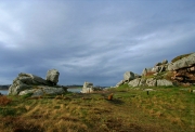 BaudTh_080420_8938.jpg