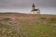 BaudTh_090502_6061.jpg