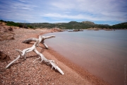 BaudTh_090609_6640.jpg