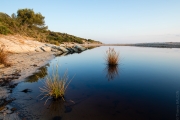 BaudTh_190705_5436_1200px