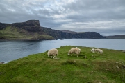 BaudTh_220506_1286.jpg