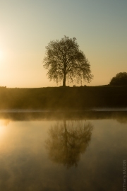 BaudTh_230517_1207.jpg