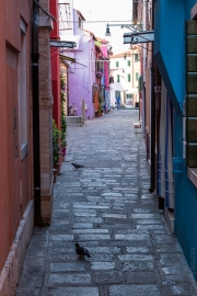 BaudTh_170603_2635.jpg