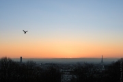BaudTh_230212_0471.jpg